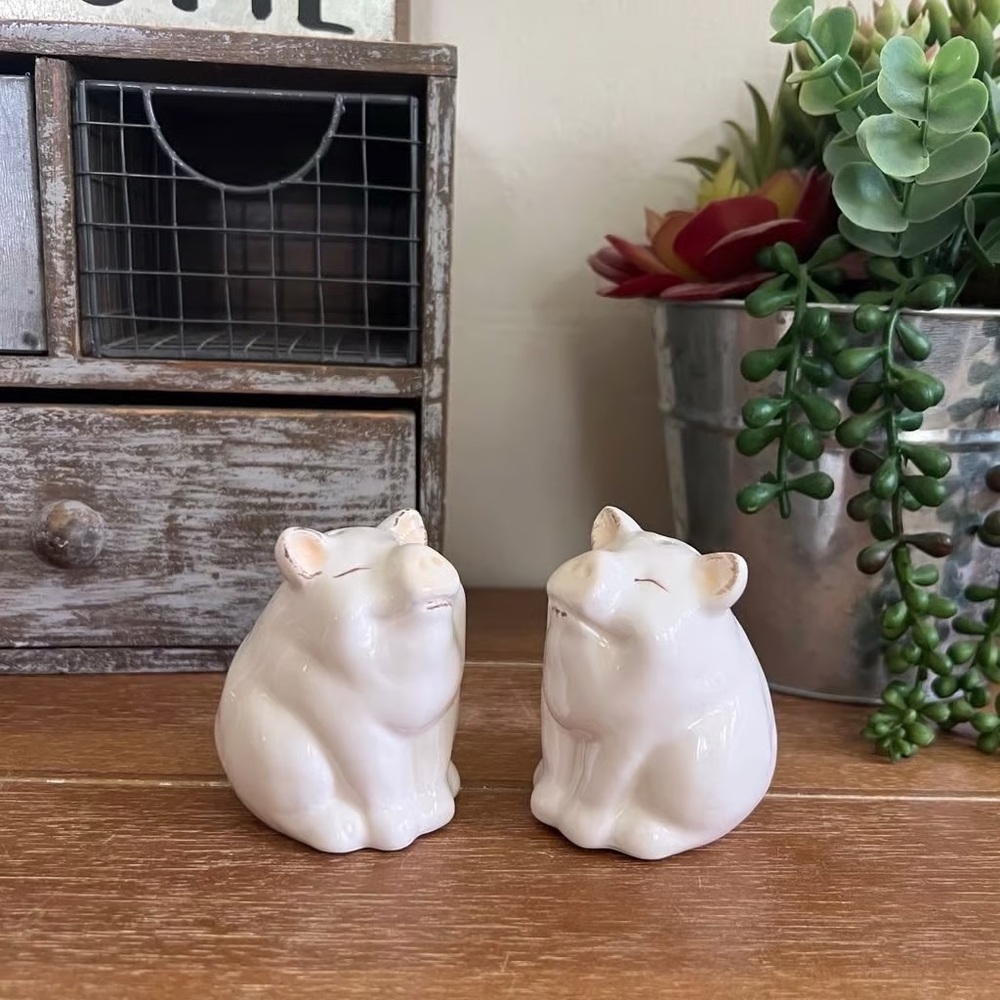 New Boho Farmhouse White Pig Salt and Pepper Shaker Set